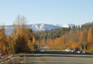 2 McClinchy Bridge (Fall Colours)