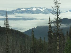 2 down hill best (Taking The Boat Out, Bella Coola)
