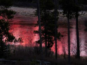 2 frozen pond (Sunny November.)