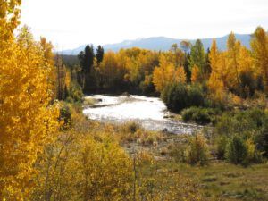 2 rive (Fall Colours)