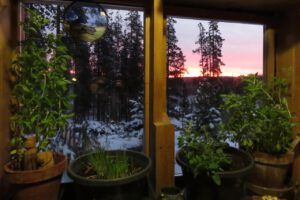 20 kitchen window (Fall Colours)