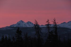 21 pink morning (Sunny November.)