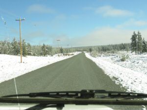 3 bare road (Fall Colours)