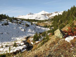 3 tree line (Perkin’s Peak In Snow)