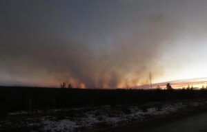 35 slash burning. (Sunny November.)