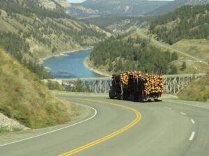 5 fraser no snow best (Fall Colours)