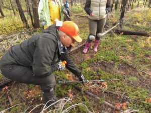 7 measuring stick (More SAR Courses)