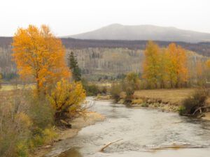 7 snow coming (Fall Colours)