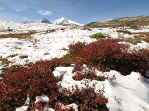 IMG_1789 (Perkin’s Peak In Snow)