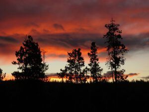 1 sunrise 1 (Sunrise, Sunset.)