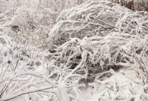 27 more snow (Sunrise, Sunset.)