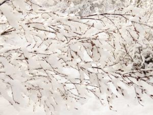 28 more snow 2 (Sunrise, Sunset.)