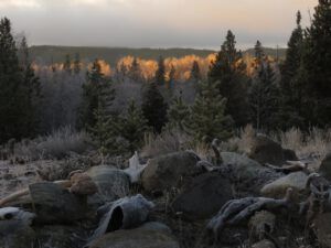 3 sunrise 2 (Sunrise, Sunset.)