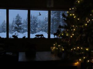 30 solstice (Sunrise, Sunset.)