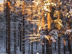 33 evening sun (Sunrise, Sunset.)