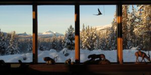 34 cloudless morning (Sunrise, Sunset.)