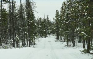 6  grey 2 (Sunrise, Sunset.)