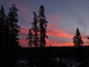 11a another sunrise (Into January)