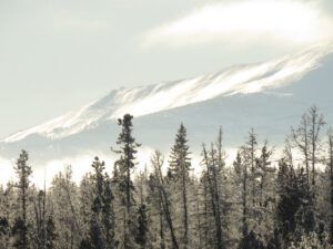 32 mist lifting (Into January)