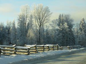 35 halfway fence (Into January)