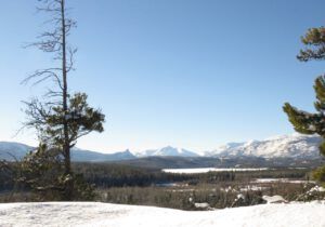 7 on the dunes (Into January)