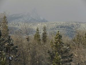 2 mild weather cont (We’ve Got Winter!)