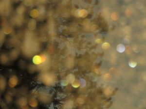 23 xmas lights (We’ve Got Winter!)