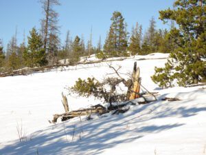4 dunes 2 (We’ve Got Winter!)