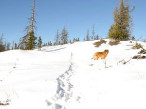 6 harry best (We’ve Got Winter!)