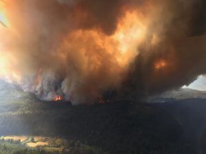 IMG_1428 copy (Fire Book Progress)