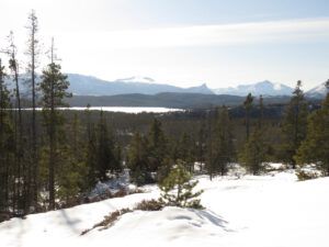 1 gorgeous Feb large (Gorgeous February)