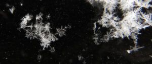 19 snowflakes (Gorgeous February)
