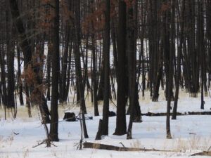 14 town again (Gorgeous February)