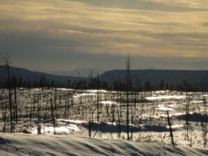 15 snow glare (Gorgeous February)