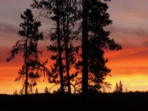 25 sunrise (SAR Ice Rescue Course)