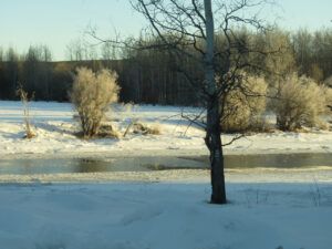 IMG_3918 (SAR Ice Rescue Course)