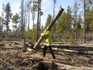 14 Hannah carrying. (Super Equinox)