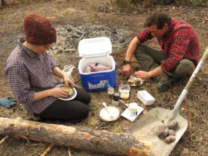 potatoes roasted (Super Equinox)