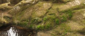 22 petroglyphs., (Super Equinox)