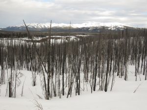 23 top of Hill. (Super Equinox)