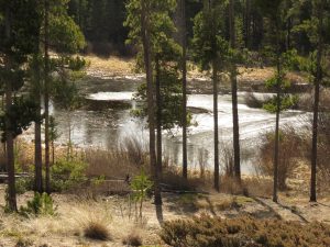 ice going (Super Equinox)