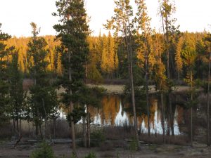 ice gone (Super Equinox)