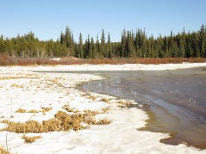 5 water on ice (Super Equinox)