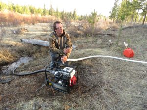 1 kurt (My Very Own Forest Fire)