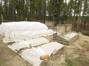 23 putting in garden (Gearing Up For Spring)