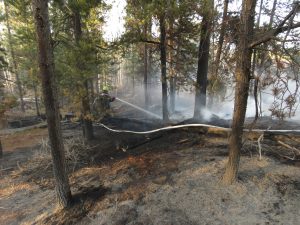 3 Christoph (My Very Own Forest Fire)