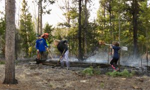 4 peter and kids (My Very Own Forest Fire)