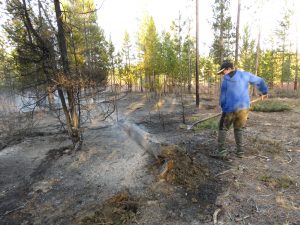 5 simon (My Very Own Forest Fire)