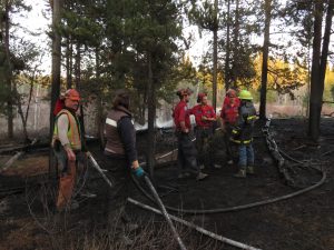 6 forestry guys (My Very Own Forest Fire)