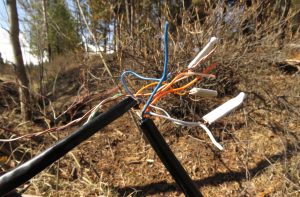 6a phone line (My Very Own Forest Fire)